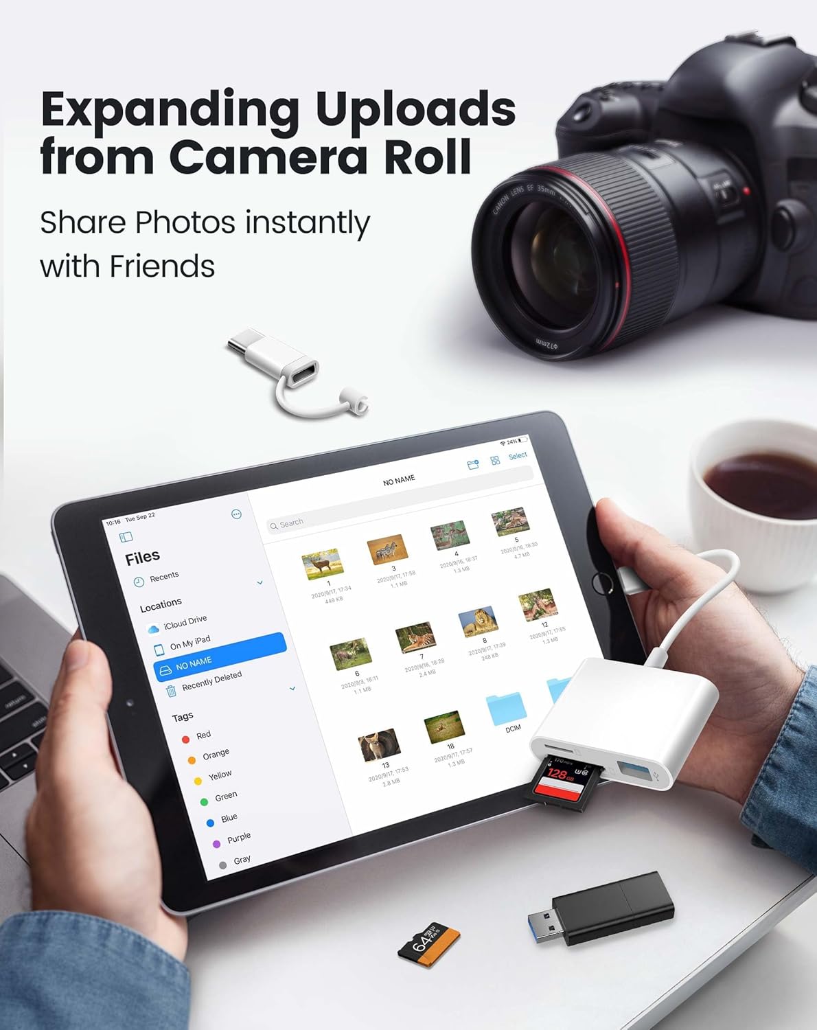 3 in 1 Memory SD Card Adapter with Dual Card Slots & USB-A Port